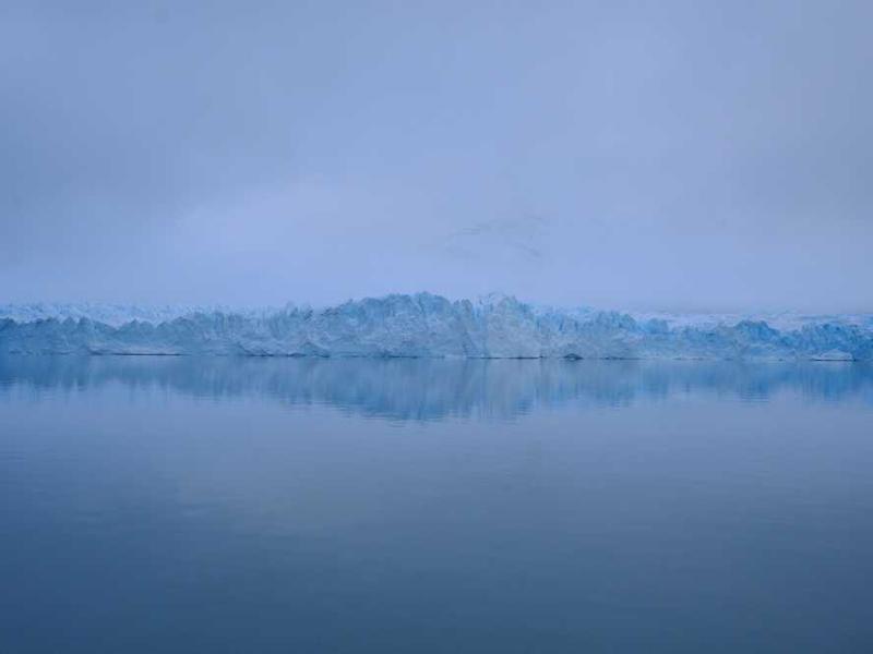 Wall Mounted Planter