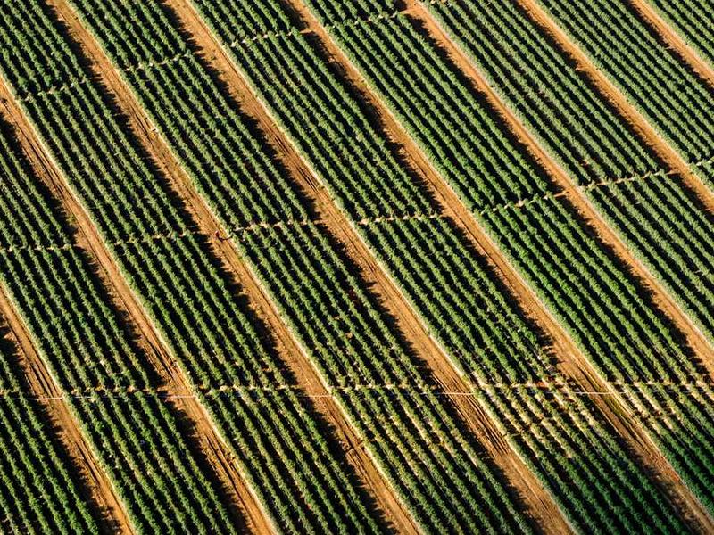 Socket Organizer - Image 3