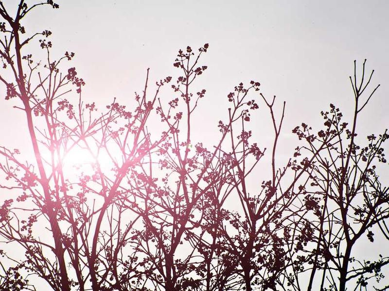 Wall Mounted Planter - Image 3