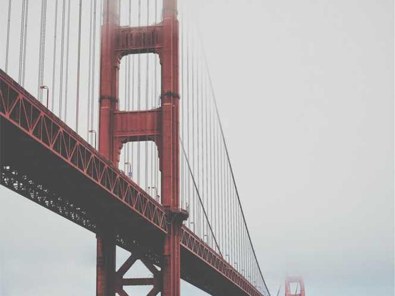 Screwdriver Organizer