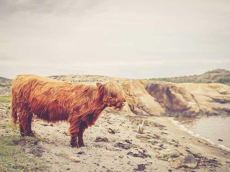 Custom Phone Stand - Image 4