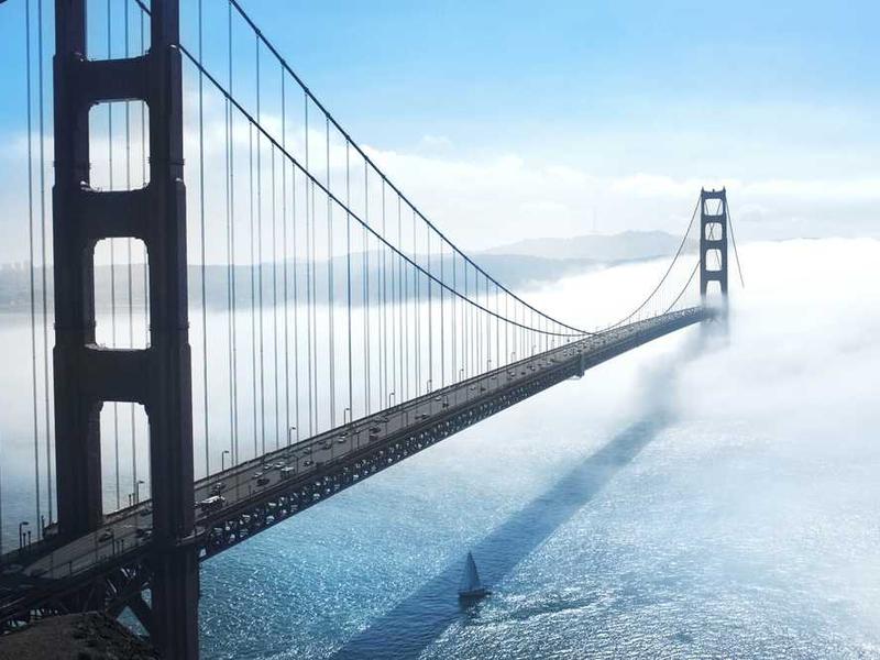 Pliers Rack - Image 2