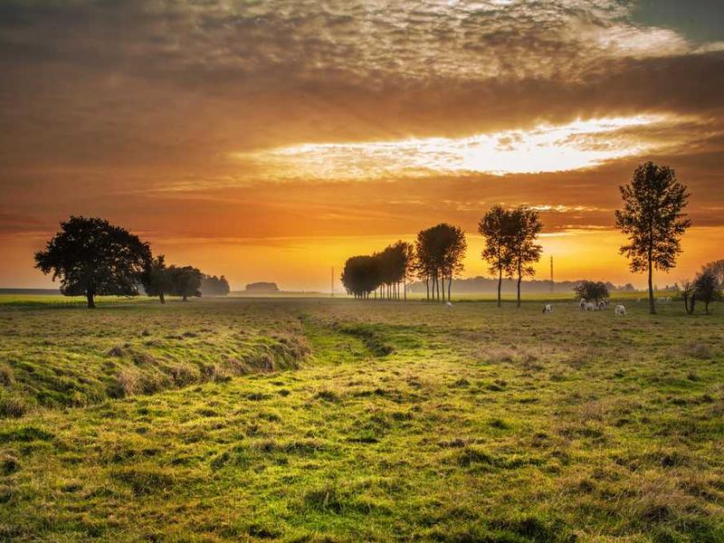 Tablet Stand - Image 4