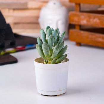 Desk Cable Clip Set - Image 2