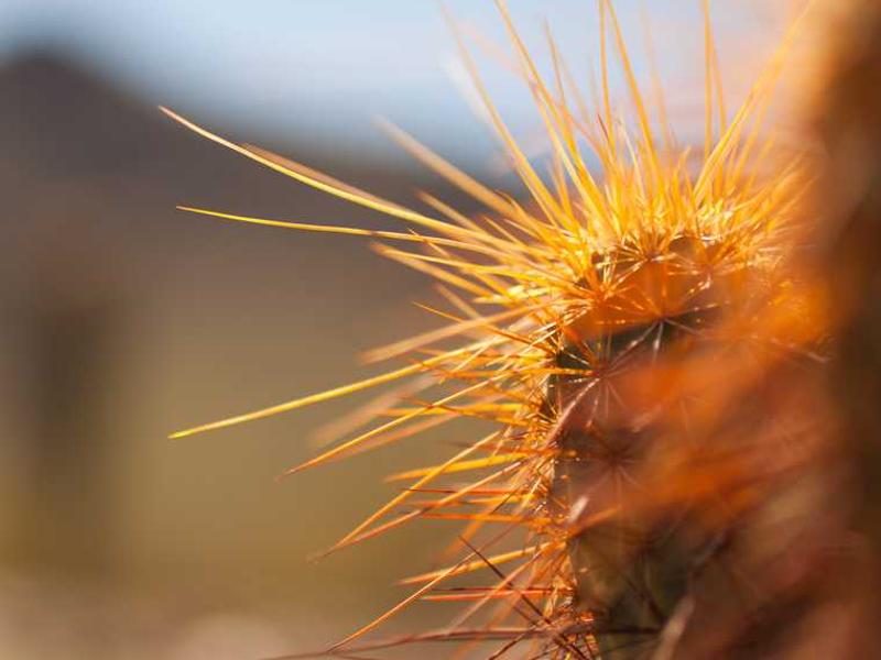 Minimalist Watch Stand - Image 5