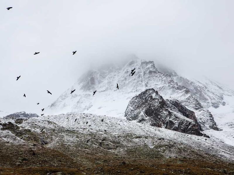 Succulent Planter Set - Image 4