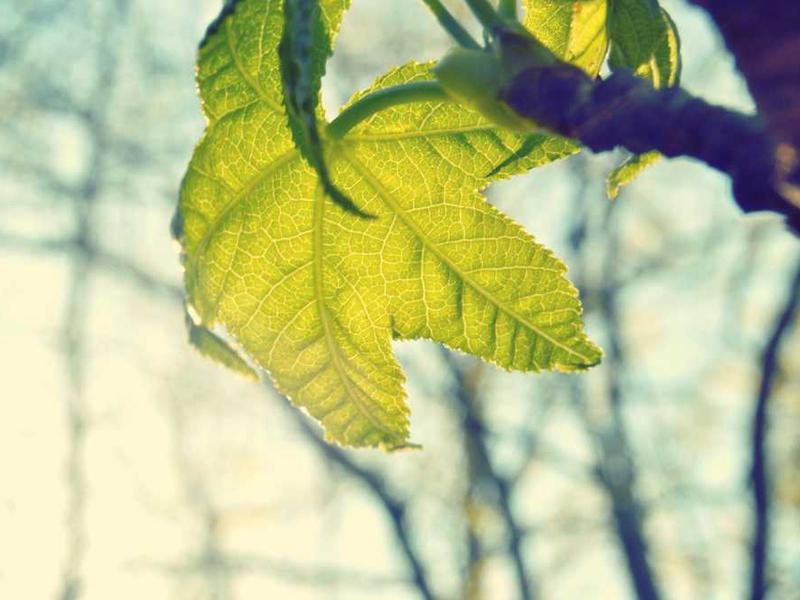 Gaming Controller Stand - Image 2