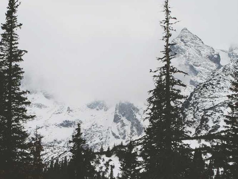 Remote Control Holder - Image 2