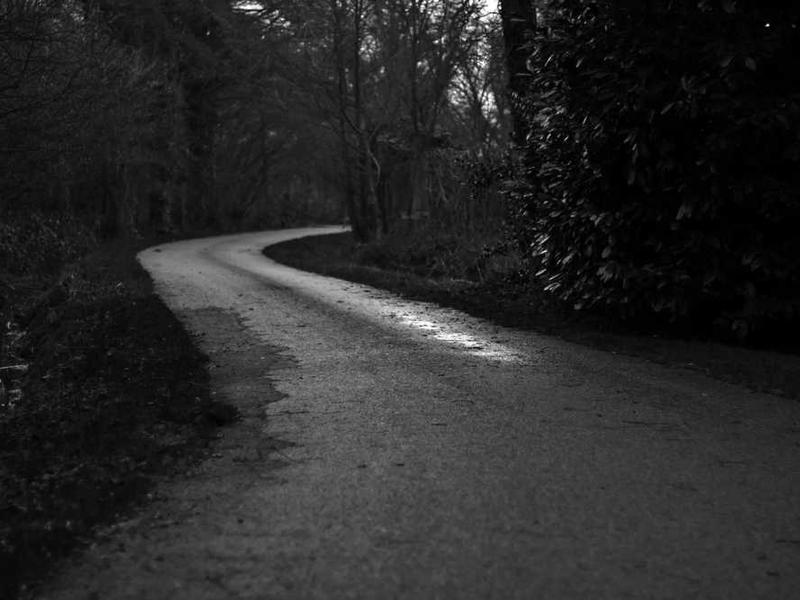 Sculptural Bookend - Image 3
